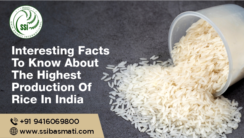 Interesting Facts To Know About The Highest Production Of Rice In India.jpg